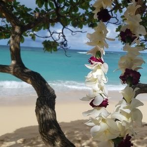 🌺 E komo mai 🌺